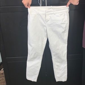 Petite Chico Pixie Cut Cotton Pants